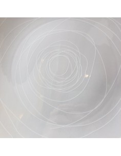 PREZZO SPECIALE: Piatto da... 2