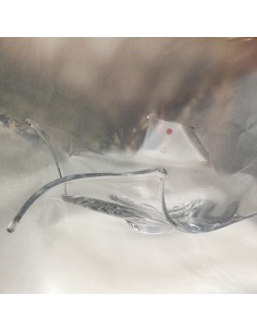 Centro Sibilla Vilca 2