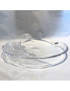 Centro Onde Bohemia 2