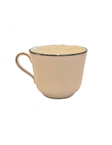 Tazza the Praga Lago 1931 Richard Ginori