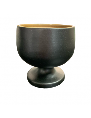 Coppa Riviera Terra Costa Nova