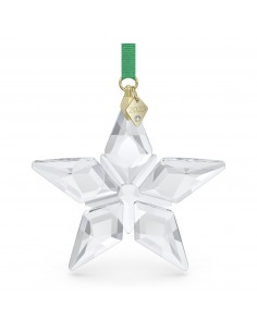 Stella di Natale 2023...