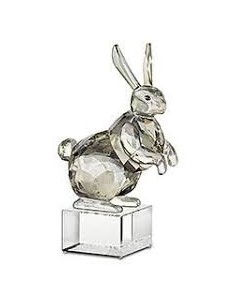 PREZZO SPECIALE: Coniglio...