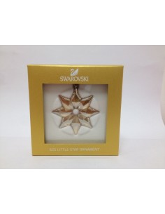 Fiocco di neve SCS 2013... 2