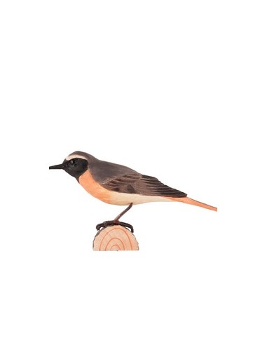 Uccello decorato Commenredstart di Wildlife Garden