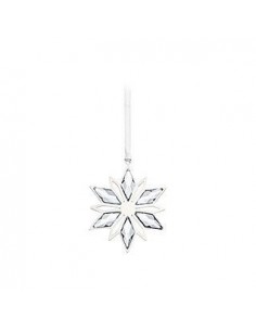 Stella argento ornamentale... 2