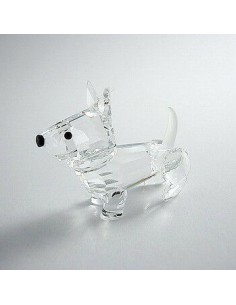 PREZZO SPECIALE: Cane...